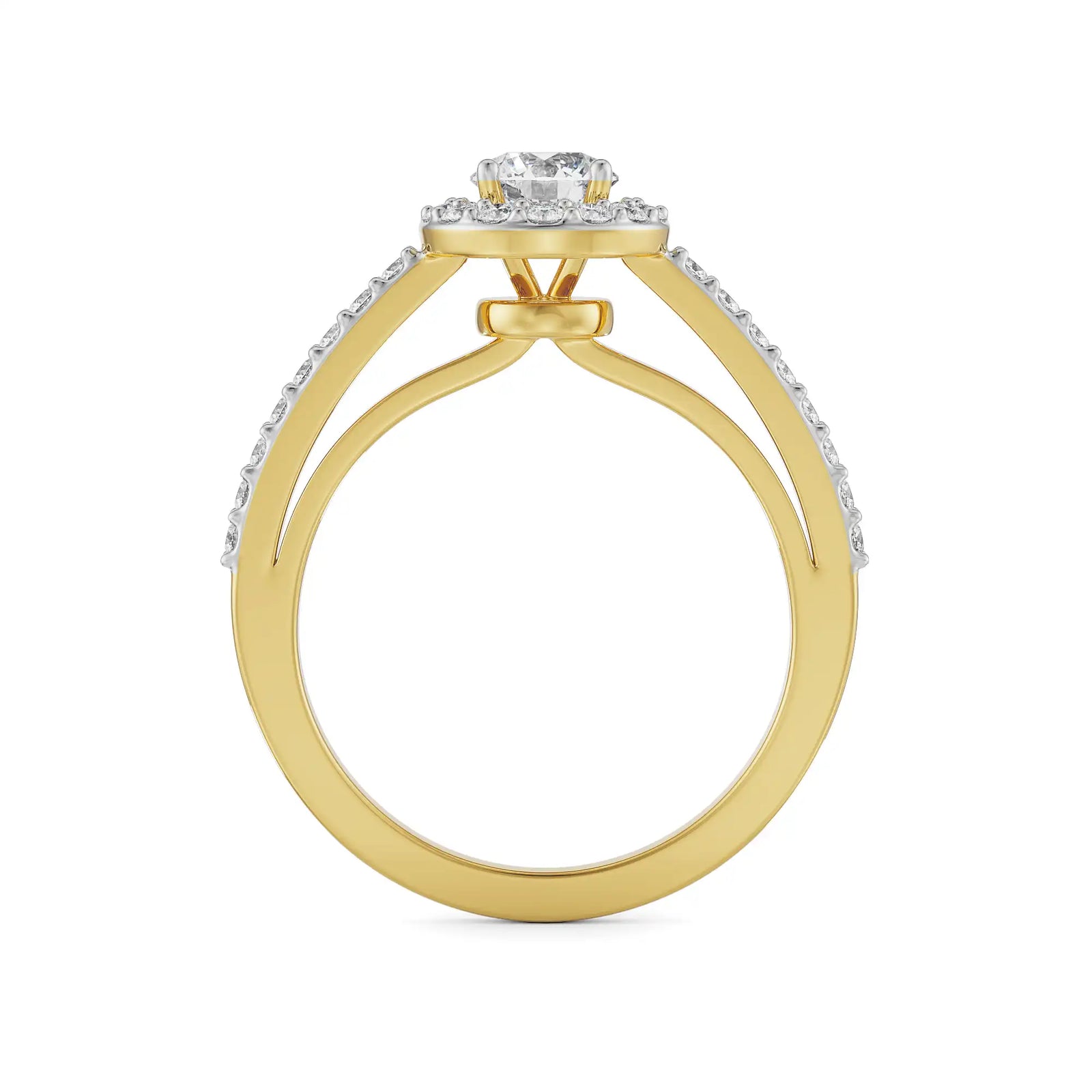 Alisen Round Halo Solitaire Ring Back View