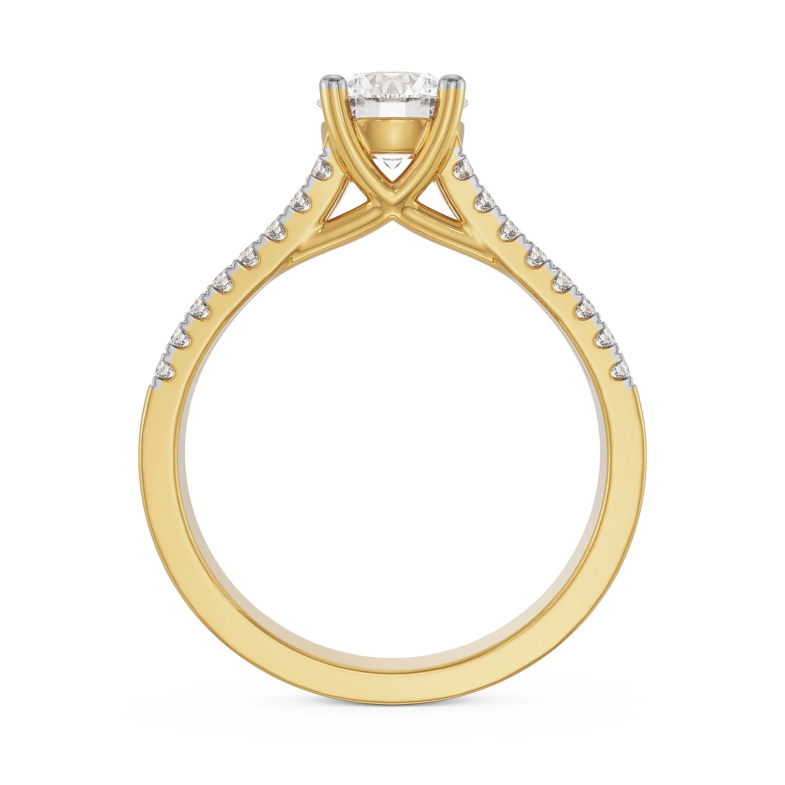 Ashez Diamond Ring Back View