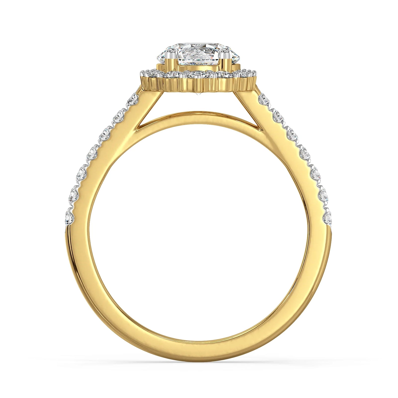 Fizy Halo Lab Grown Diamond Engagement Ring - Back view