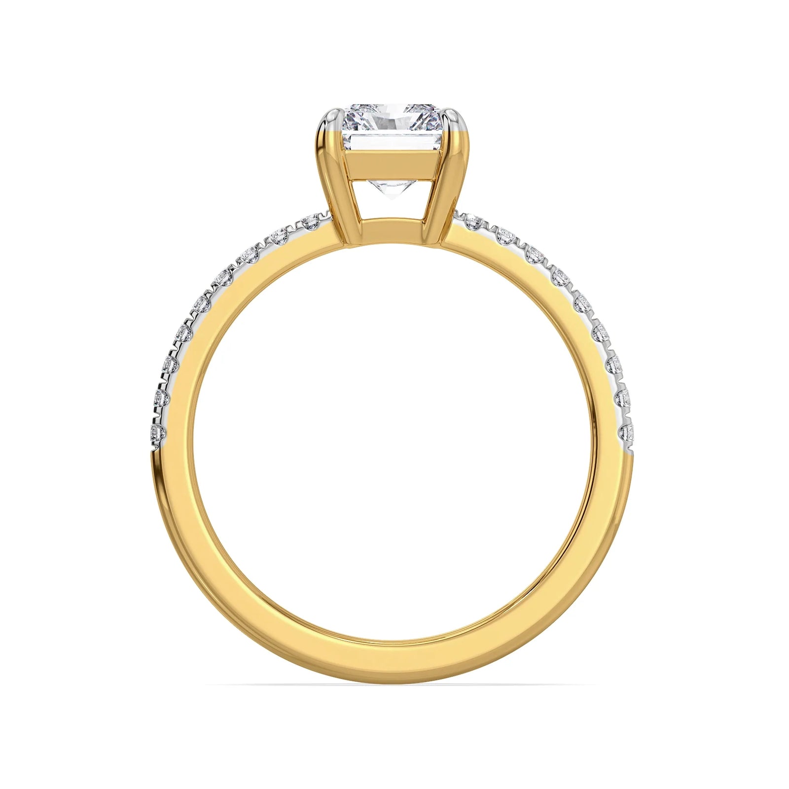 Terisa Radiant Lab Grown Diamond Engagement Ring- Back view